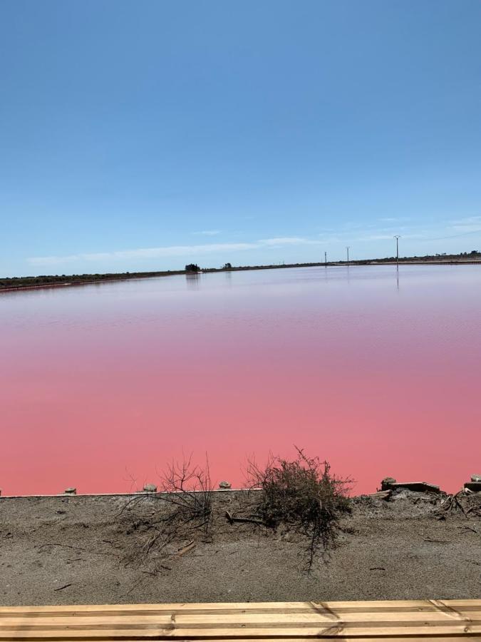 Cabane Du Saunier Syrius Etang Du Roy Aigues-Mortes Exterior foto
